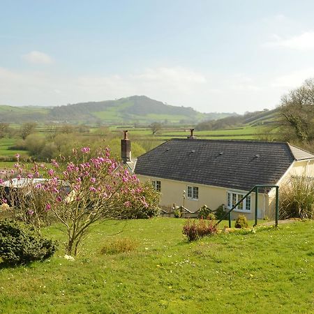 Bed and Breakfast Bryn Hebog Carmarthen Exteriér fotografie
